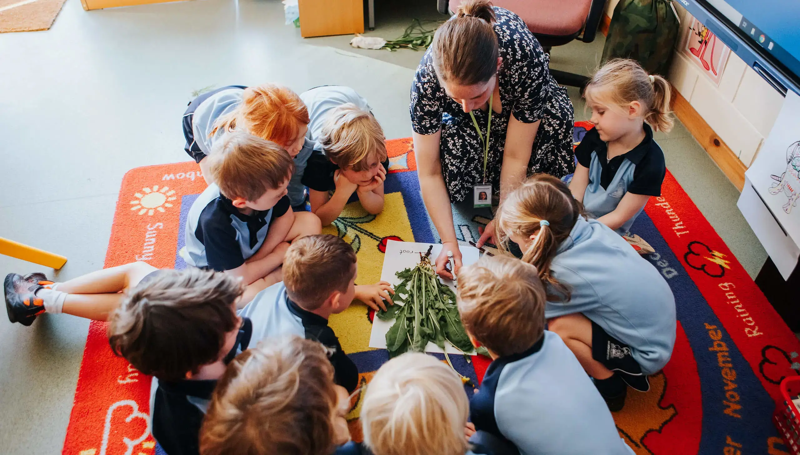 Teacher and young students studying plants in a classroom