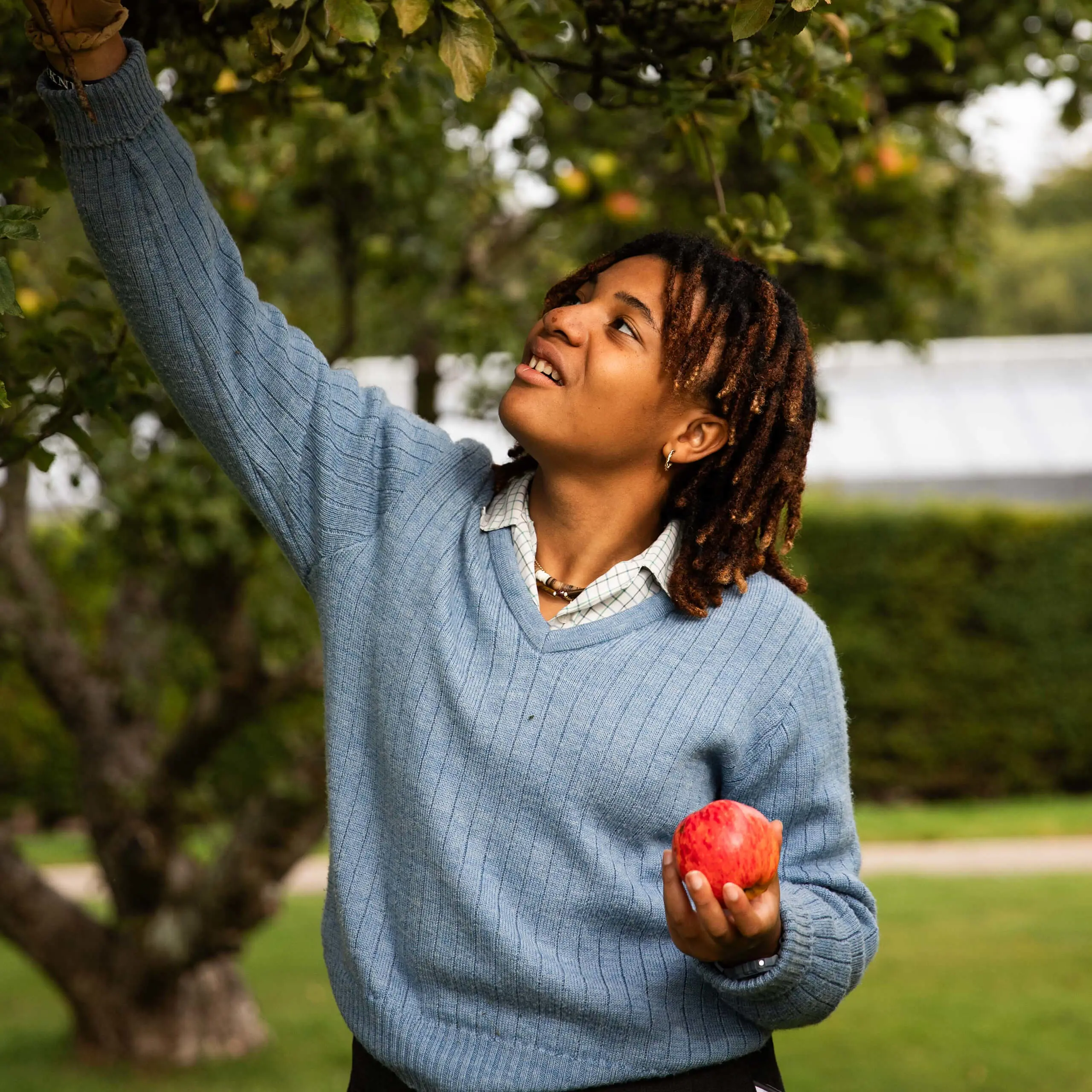 Student member of Gordonstoun's Conservation Service picking apples